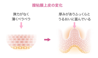 膣粘膜上皮の変化