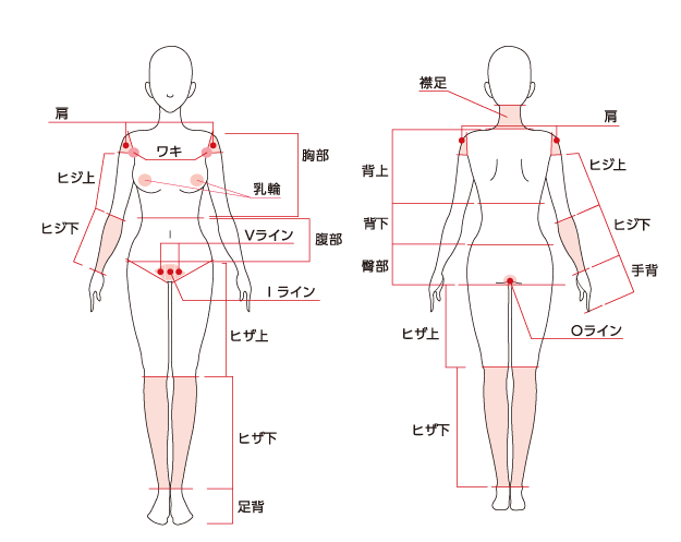 施術部位