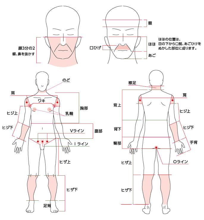 施術部位