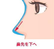 鼻先を下へ